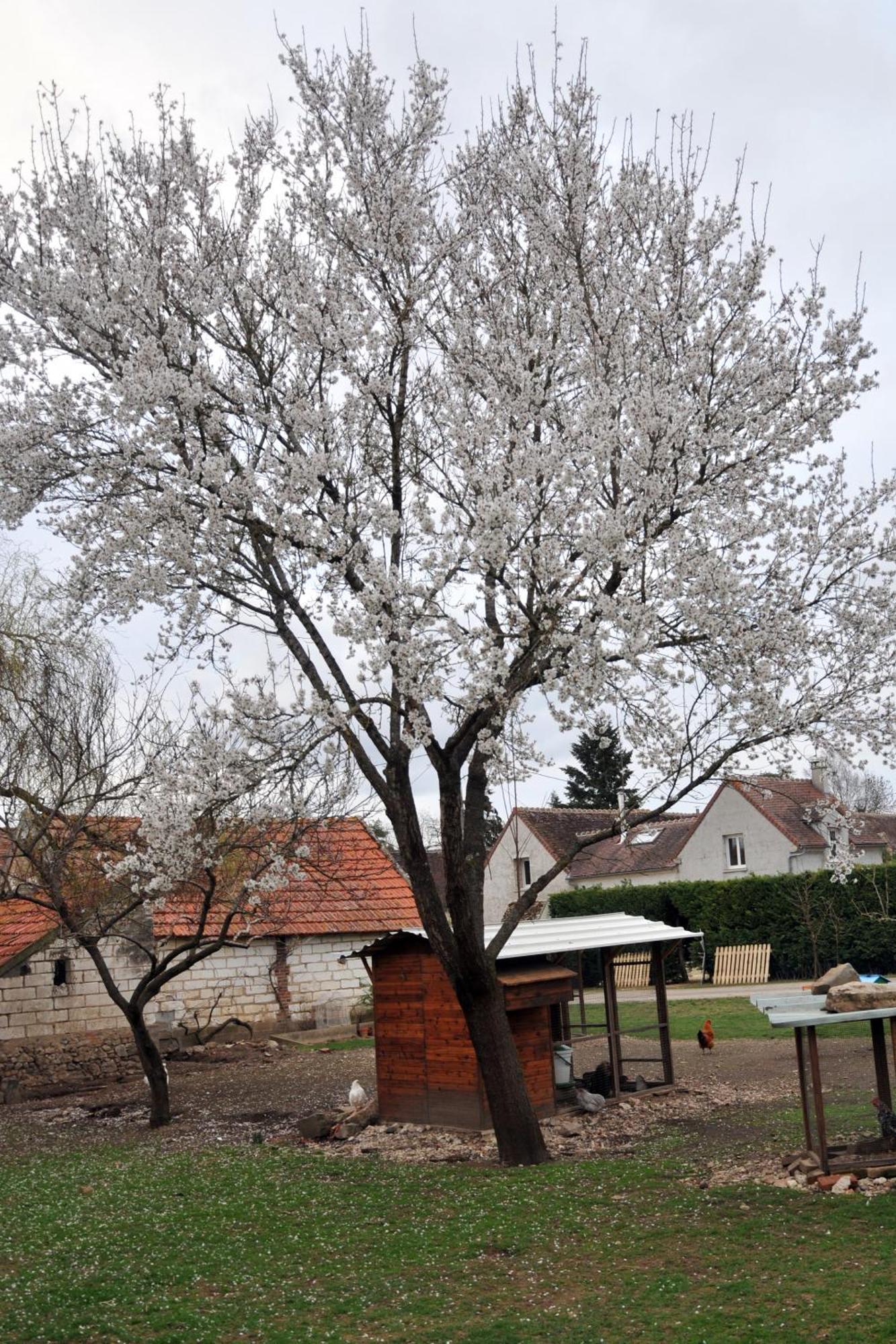 La Ferme De Flo' Villa Evry  Bagian luar foto