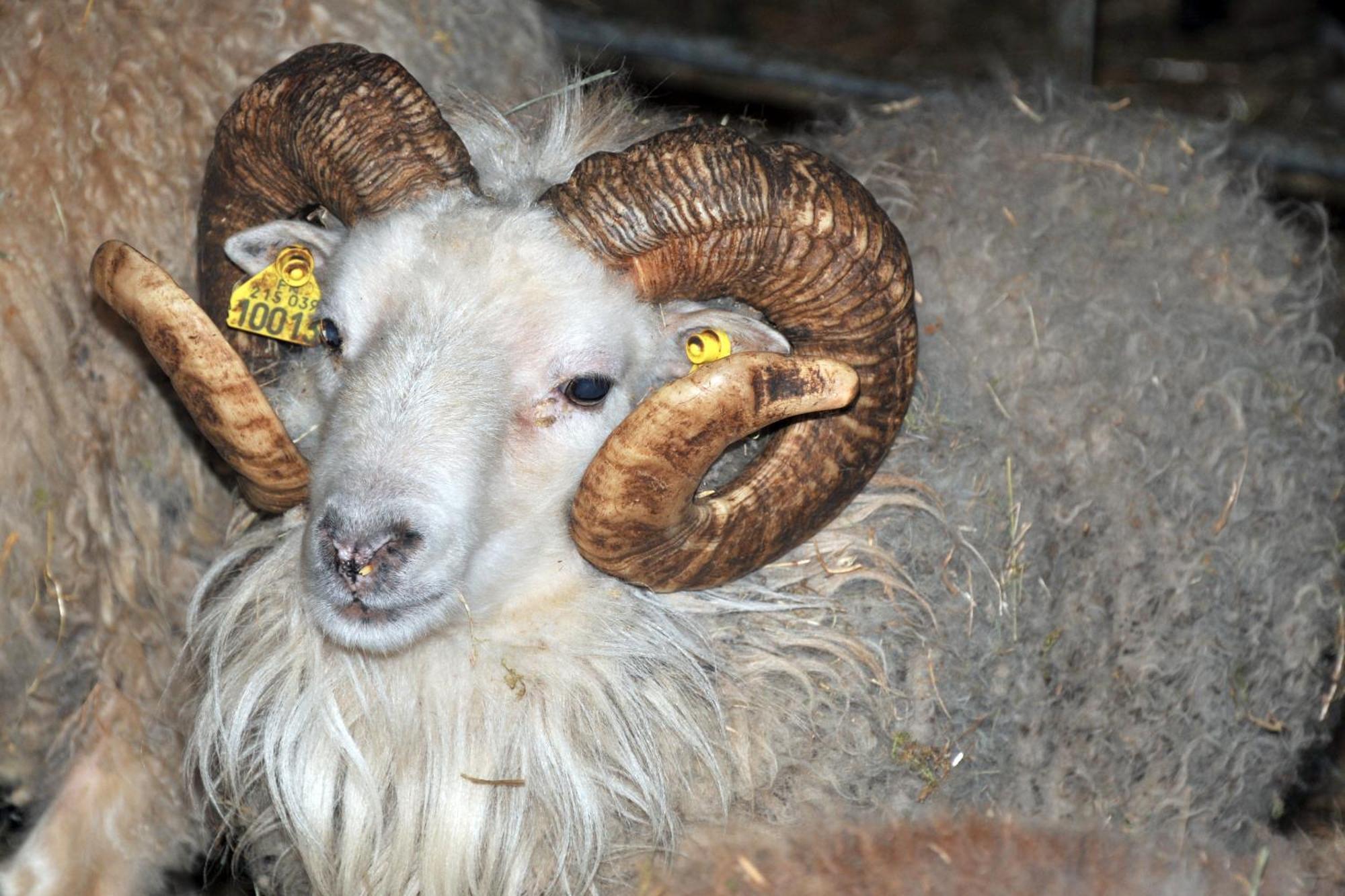 La Ferme De Flo' Villa Evry  Bagian luar foto